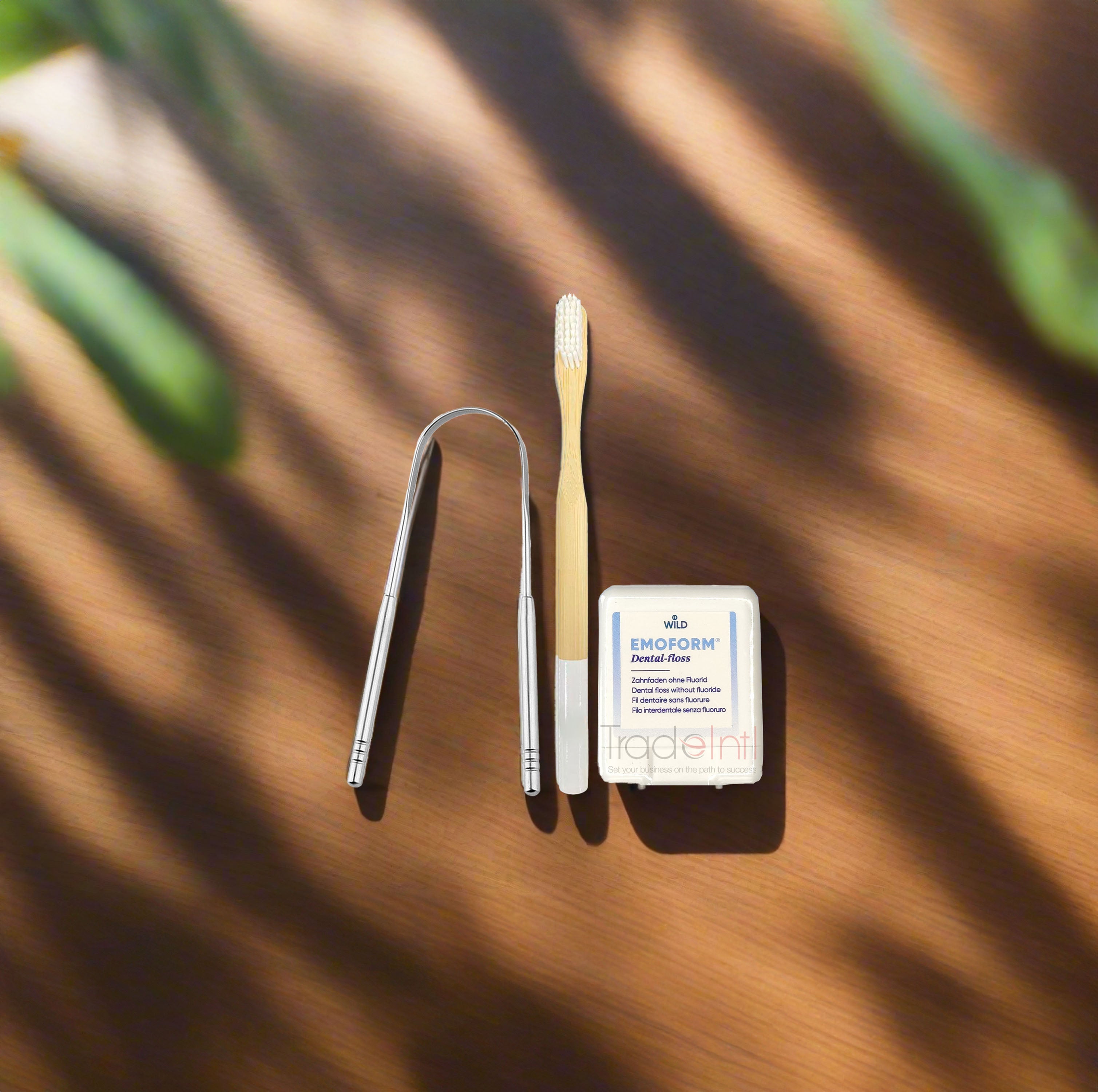 Essential Dental Kit